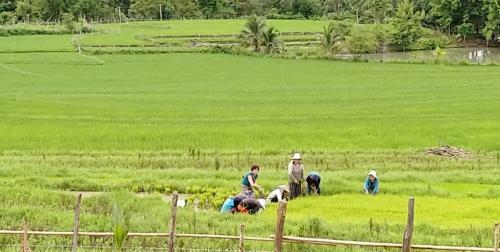 Hotel Nakhaohorm Farming Resort