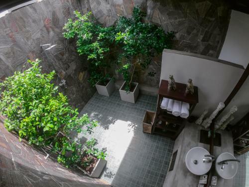 Bed & Breakfast Ovenrose Villas