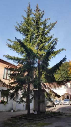 Gertruda Small Apartment