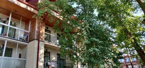 Apartamento Livingpalanga- Malunovilos