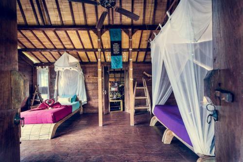 Dragonfly Village