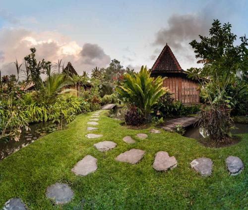 Dragonfly Village