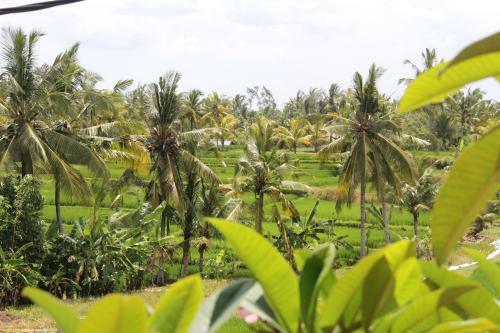 Hostal Villa Bungsil Gading