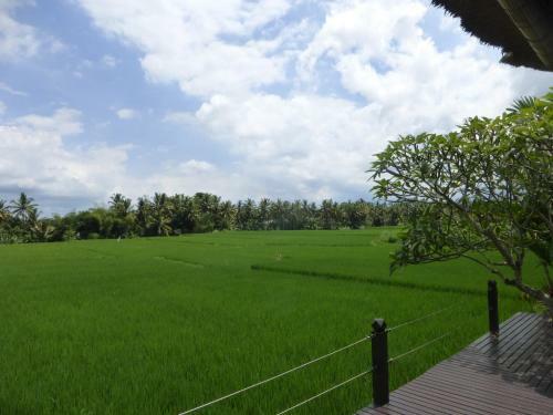 Bali Harmony Villa