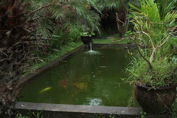 Hostal Bali Gardenview Cottages