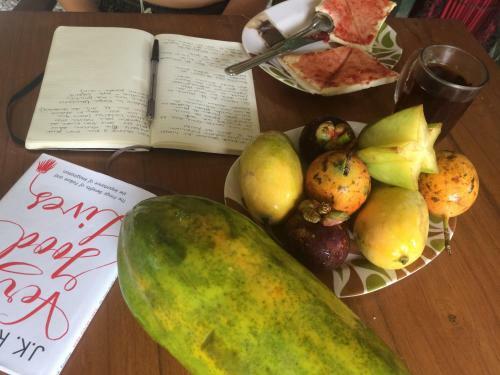 Hostal Mango Tree Dipudjo