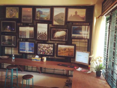 Hostal Mango Tree Dipudjo