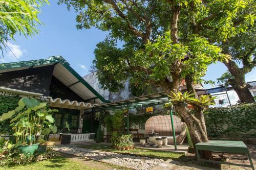 Hostal Mango Tree Dipudjo