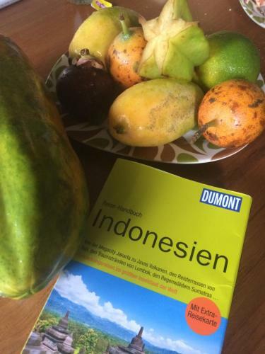 Hostal Mango Tree Dipudjo