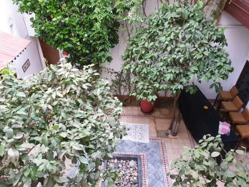 Hostal Riad Neela