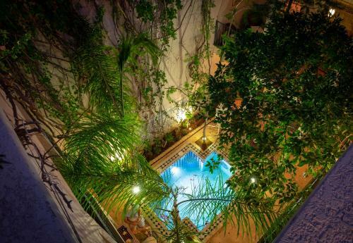 Hostal Riad Adrar