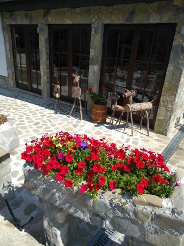 Bed & Breakfast Rooms And Apartmants Mirovic