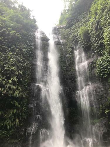 Hostal Omunity Bali