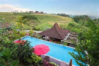 Hotel The Sanyas Retreat