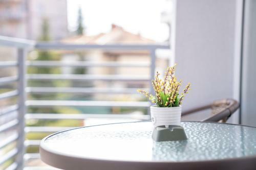 Bed & Breakfast Villa Misija