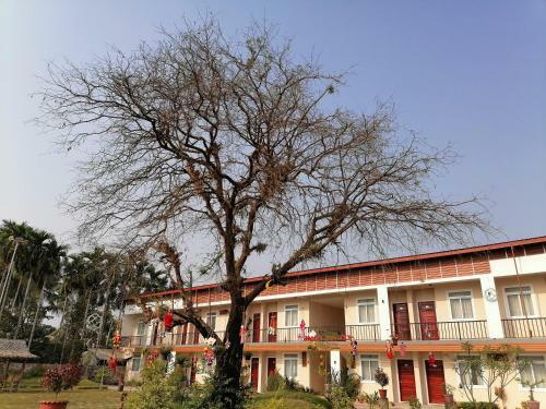 Hotel Deluxe