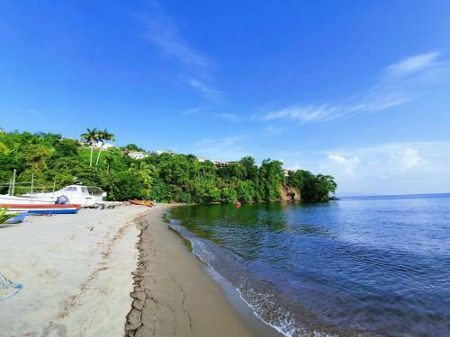 Apartamento Duplex Bwa Soley, Face � La Mer, � 5 Min Du Centre !