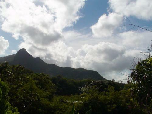 House With 3 Bedrooms In Coromandel With Wifi