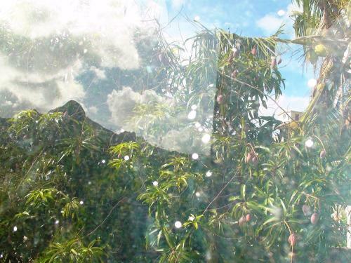 House With 3 Bedrooms In Coromandel With Wifi