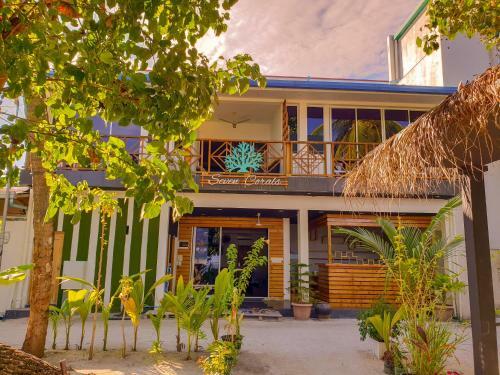 Bed & Breakfast Maafushi Seven Corals