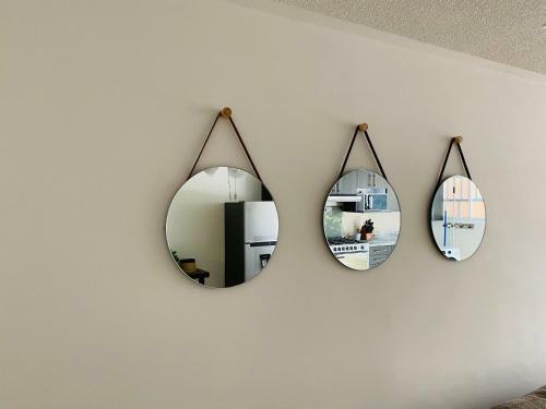 Apartamento Suite �nica Renovada C�ntrica Av Zaragoza C14
