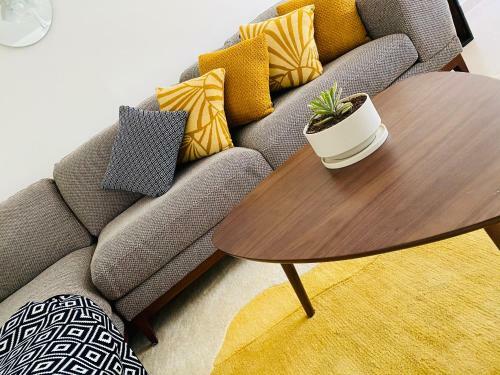 Apartamento Suite �nica Renovada C�ntrica Av Zaragoza C14