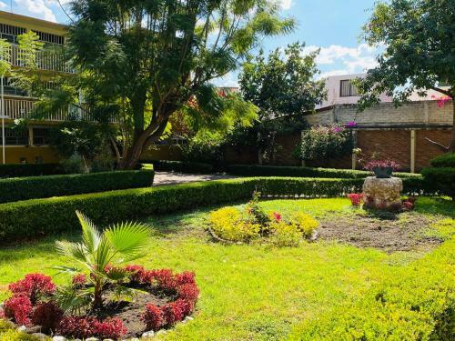Apartamento Suite �nica Renovada C�ntrica Av Zaragoza C14