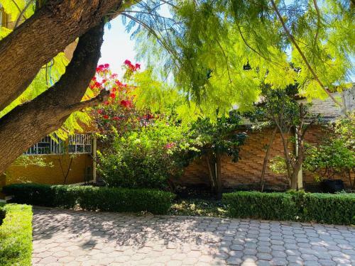 Apartamento Suite �nica Renovada C�ntrica Av Zaragoza C14