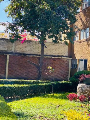 Apartamento Suite �nica Renovada C�ntrica Av Zaragoza C14