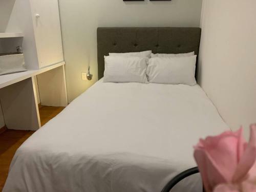 Hostal Private Room With T.v. Polanco