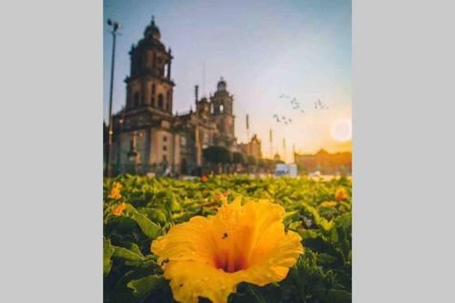 Apartamento Departamento En El Centro Hist�rico, de La Cdmx!
