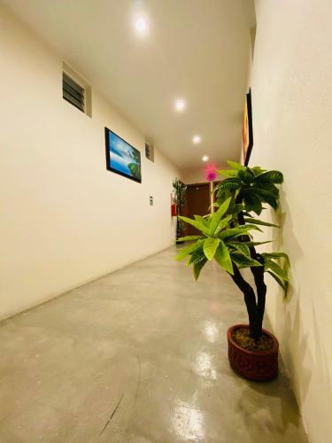 Mega Hotel Room For 6 In Landa de Matamoros