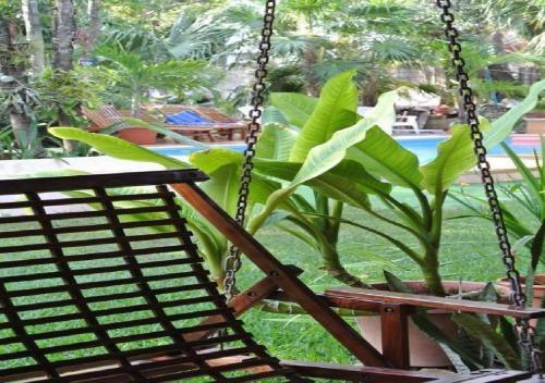 Esduma Iguanas Hotel Playa Del Carmen