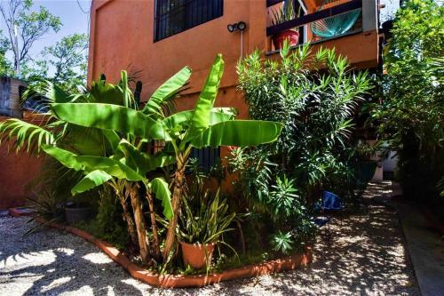 Apartamento Ground Floor, Caribbean Vibes- Near Coco Beach!