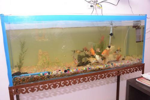 Hotel Trishul