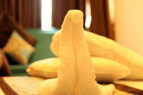 Hotel Country Inn & Suites By Carlson Haridwar