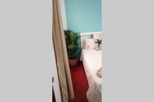 Apartamento Estudio Con Alberca Costa