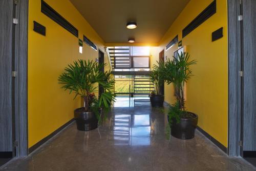 Apartamento Arboleda 5