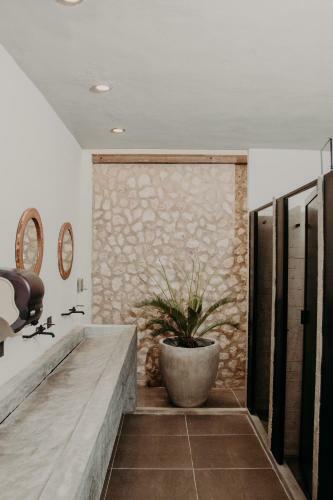 Arich� Tulum Hotel & Hostal