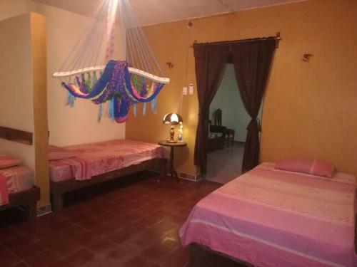 Bed & Breakfast Orchid Guesthouse