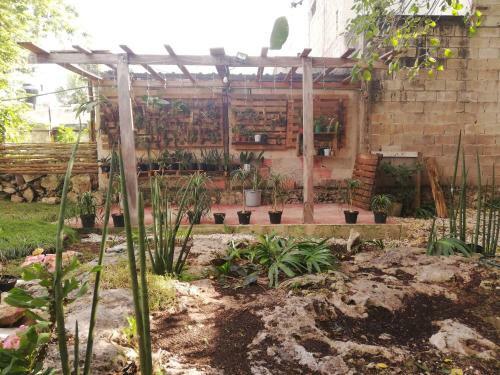 Bed & Breakfast Orchid Guesthouse