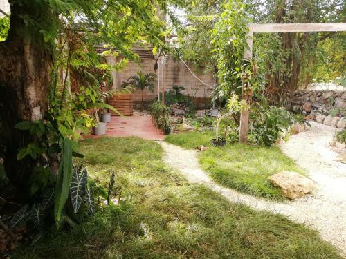Bed & Breakfast Orchid Guesthouse