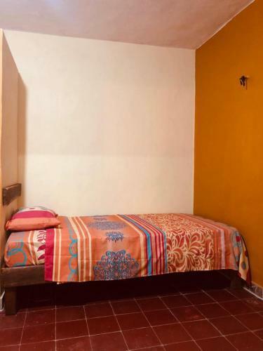 Bed & Breakfast Orchid Guesthouse