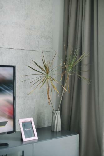 Apartamentos Robertson Premier Suites By Subhome