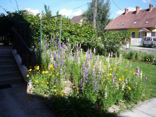 Hostal Moln�r Vend�gh�z