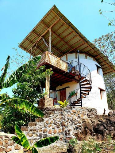 Hotel The Jungle