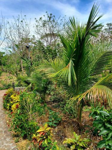 Hotel The Jungle