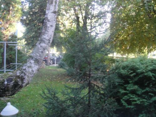 Apartman Krist�ly