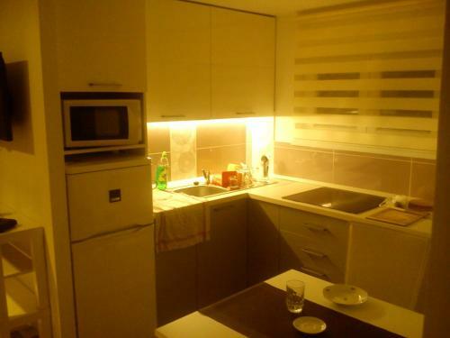 Judit Apartman