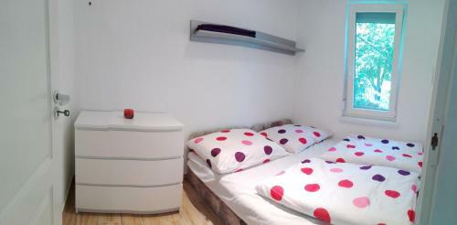 Judit Apartman